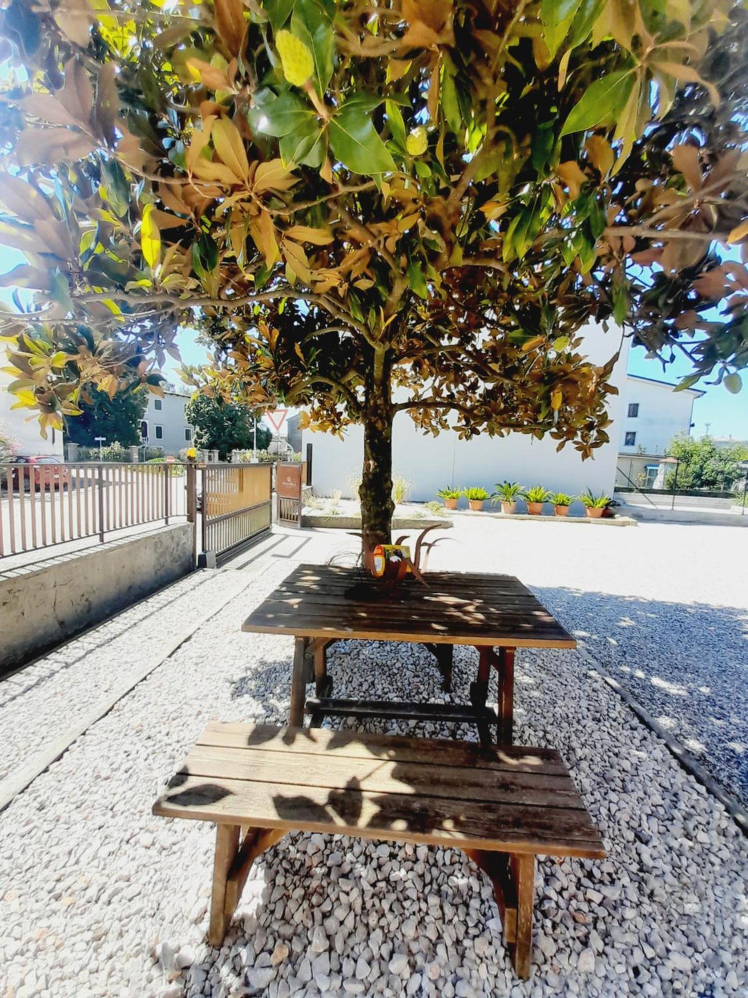 Foiarola Otel Begliano Dış mekan fotoğraf